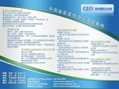 康佳集團(tuán)廣告促銷計劃流程實施手冊 國際咨詢公司專業(yè)視角